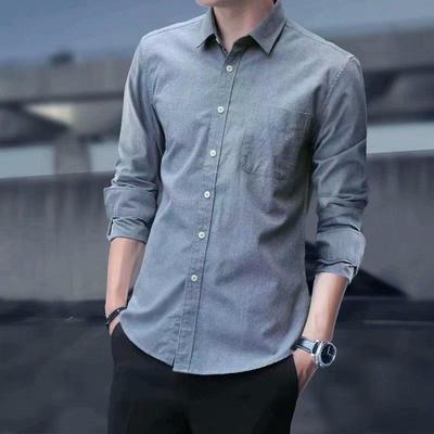 Men's Slim Korean Style Long-Sleeve Oxford Shirt for Spring and Autumn