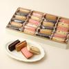 Maison Chocolat Sandwich 24 pieces Chocolate Sweets Individually wrapped Midyear gift Present [La Shirokane]