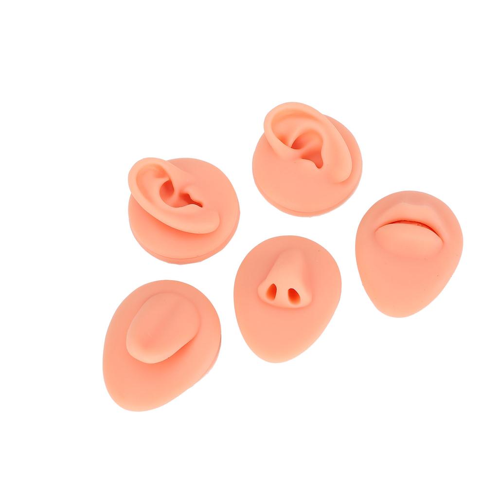 Silicone Tongue Mouth Nose Model Reusable Simulation Silicone Body Parts Practice Display Model