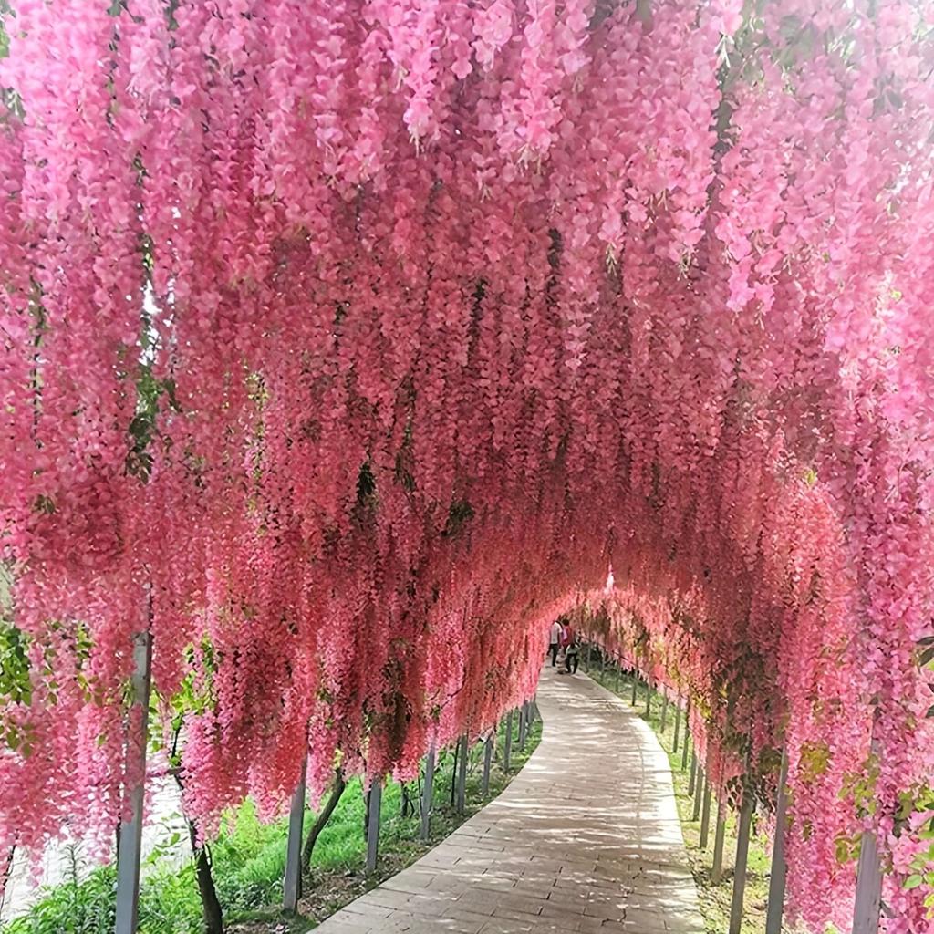 12pcs-Wisteria Home Decoration, Artificial Flower Vine Belt, Shopping Mall, Wedding Decoration, Arched Vine Atmosphere Layout