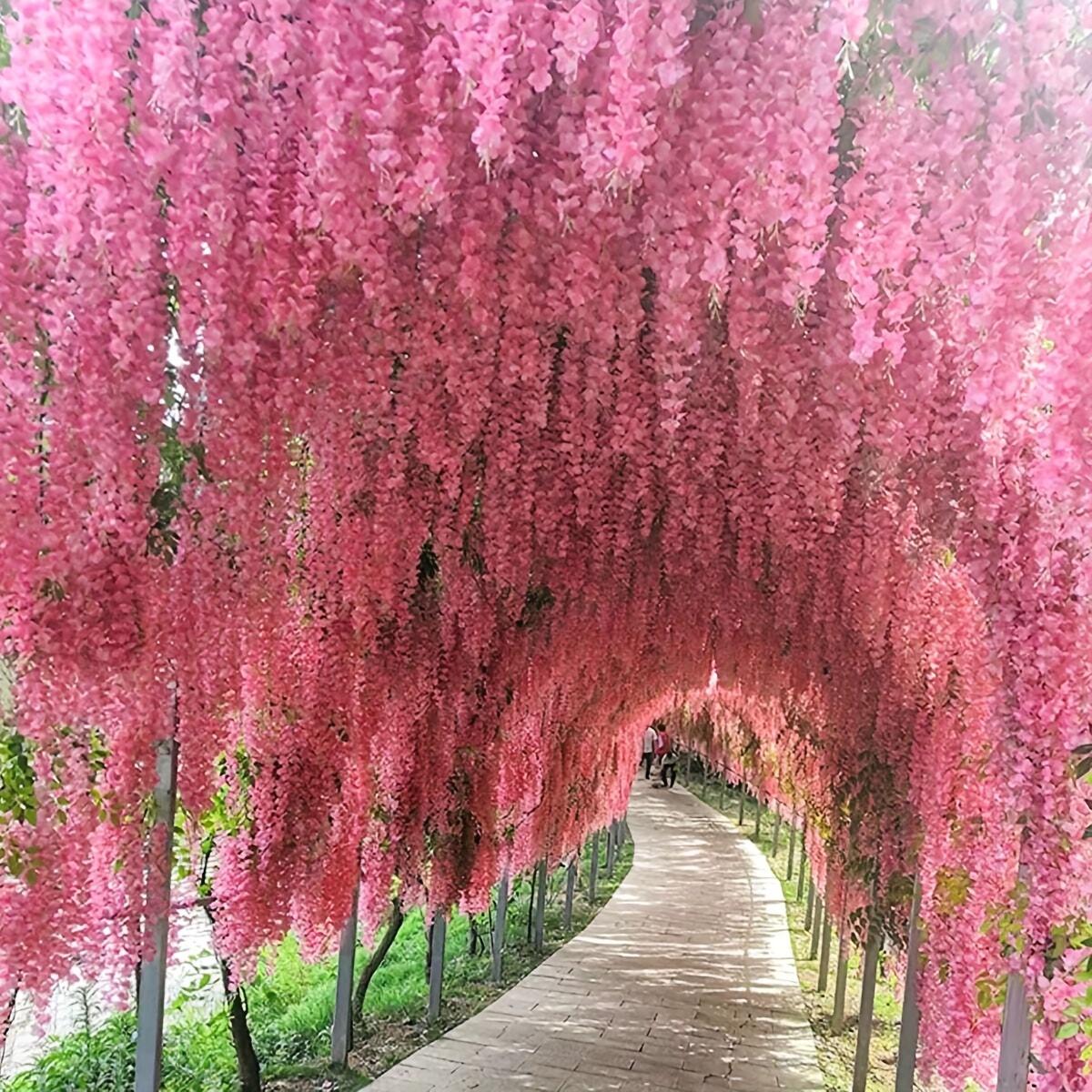 

12 шт.-Глициния для украшения дома, искусственная цветочная лоза, торговый центр, свадебное украшение, арочное оформление лозой для создания атмосферы розовый