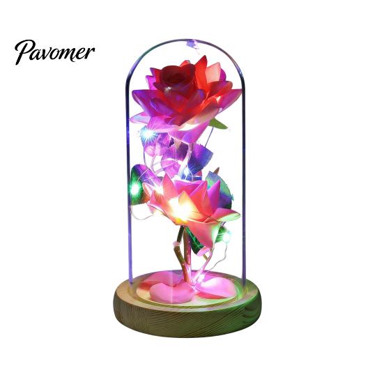 Birthday Rose Present Flower Gifts for Her Mom Wife Grandma Light Up Eternal Gift in A Dome Romantic Anniversary Valentine's Day Christmas