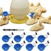 8pcs Chicken Water Cups with Mounting Hole Opener Chicken Feeder Cups Chick Feeder for Duck Chicks Goose Turkey Bunny and Bird