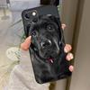 Labrador Puppy Dog Case For iPhone 16 Pro Max 15 14 12 11 13 17 Pro Max Plus 12 13 Mini 16e 17 Air Back Cover