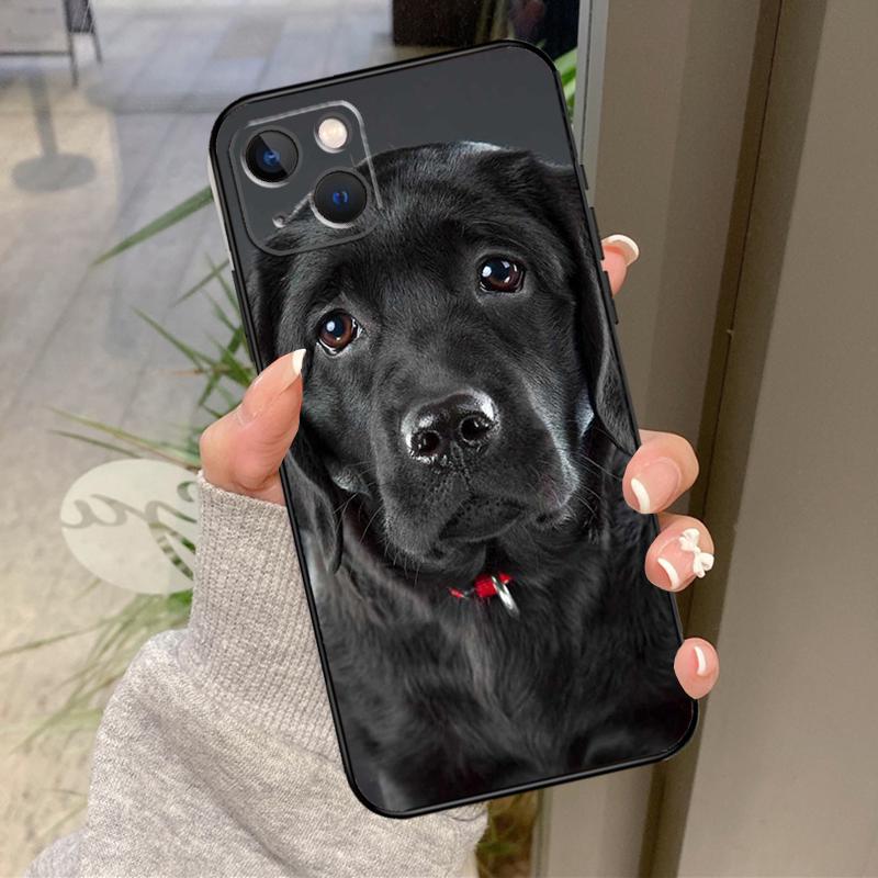 Labrador Puppy Dog Case For iPhone 16 Pro Max 15 14 12 11 13 17 Pro Max Plus 12 13 Mini 16e 17 Air Back Cover