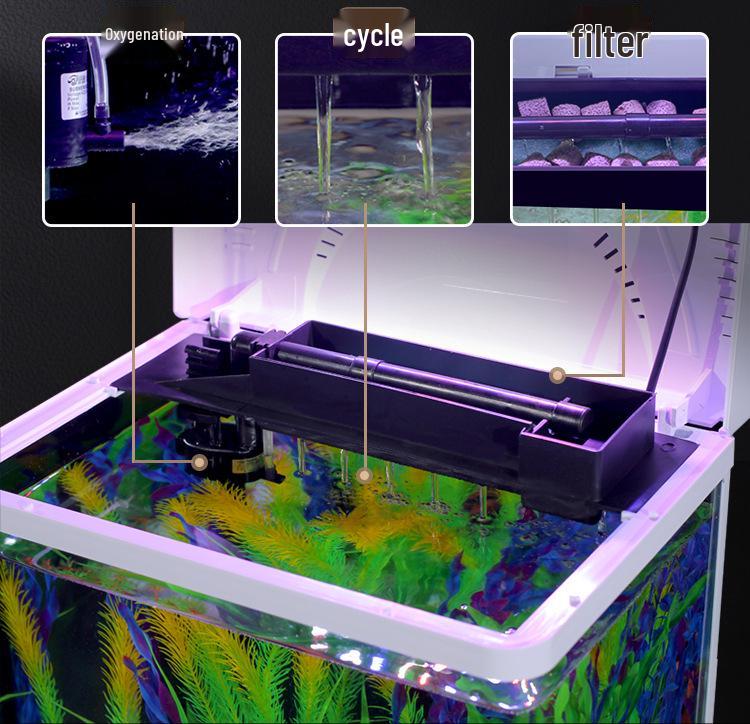 Acvariu dreptunghiular de birou 2024 - Ecologic, Schimb ușor de apă, Perfect pentru living și peștișori aurii mici