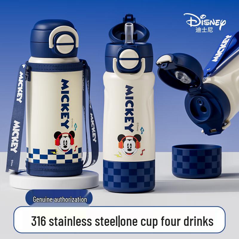 

Disney 316 Stainless Steel Insulated Kids Water Bottle