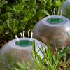 Clear Gardening Covers Protective Cover Shielding Protectors for Plant Health Growth And Thermal Retention 5PCS