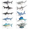 Realistic Marine Animal White Shark And Whale Model Pack With Pvc Construction For School Projects