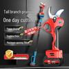 BAIPUXI Cordless Electric High Branch Pruner CN Plug (adapter Included)