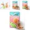 Cat Toys Collection Featuring Feather Mice And Rattling Balls For Fun And Exercise