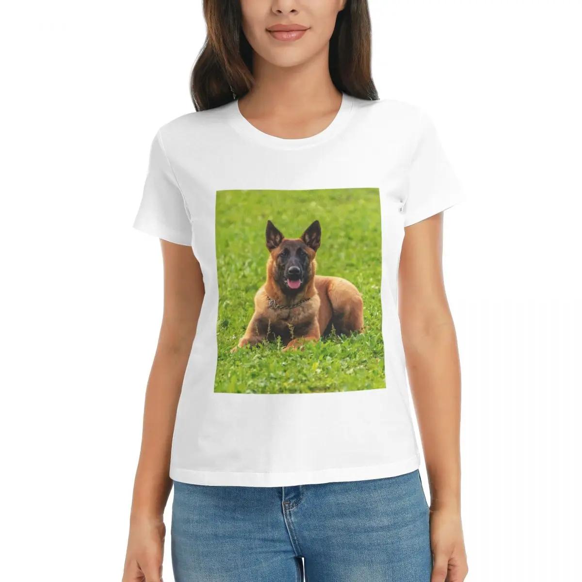 

Women TShirt Belgian Shepherd Dog Malinois Summer Short Sleeve Tees ONeck Cotton T Shirts Clothes Tops Streetwear S