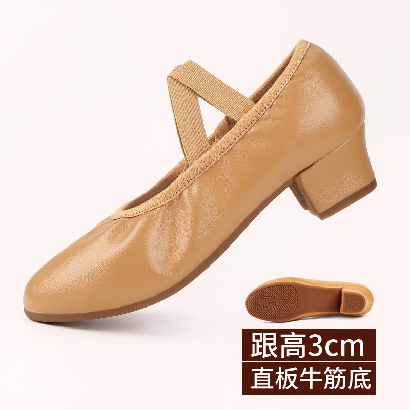 Dance Shoes for Women Two Point Flat Sole Teacher Shoes Professional Dance Shoes