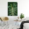 Canvas Print, Tropical Monstera