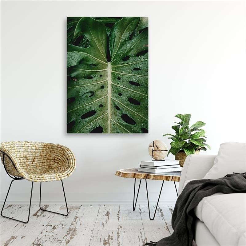 Canvas Print, Tropical Monstera