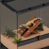 Amphibian Climbing Stand Toy Foldable Exercise Tool Reptile