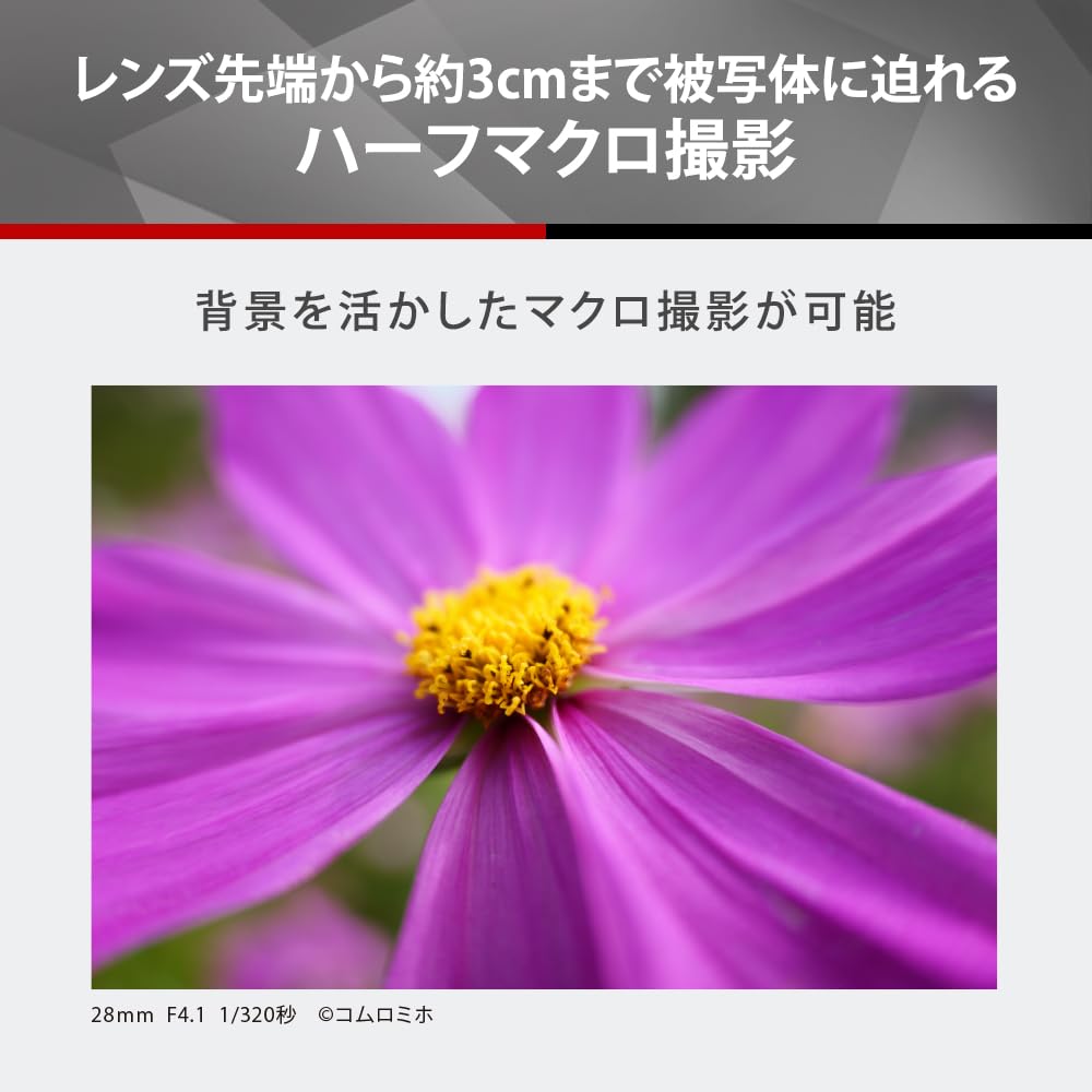 Panasonic High Magnification Zoom Lens Full Size Mirrorless Single Lens L Mount System LUMIX Small and Lightweight LUMIX S Black 28-200mm F4-7.1