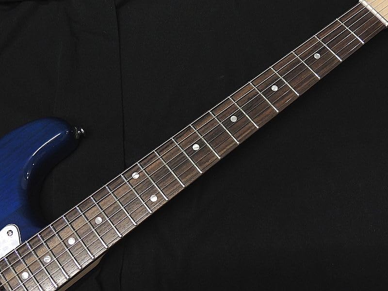 Schecter DBL R Schecter Stratocaster Type Deep Blue Electric Guitar Deep Blue OL-ST-22