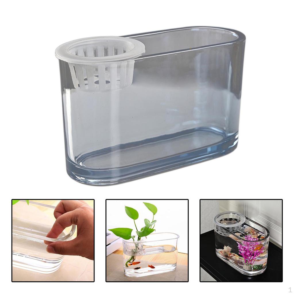 Aquaponic Tank Plant Growing System Cleaning Decoration Flower Arrangement Container Garden for