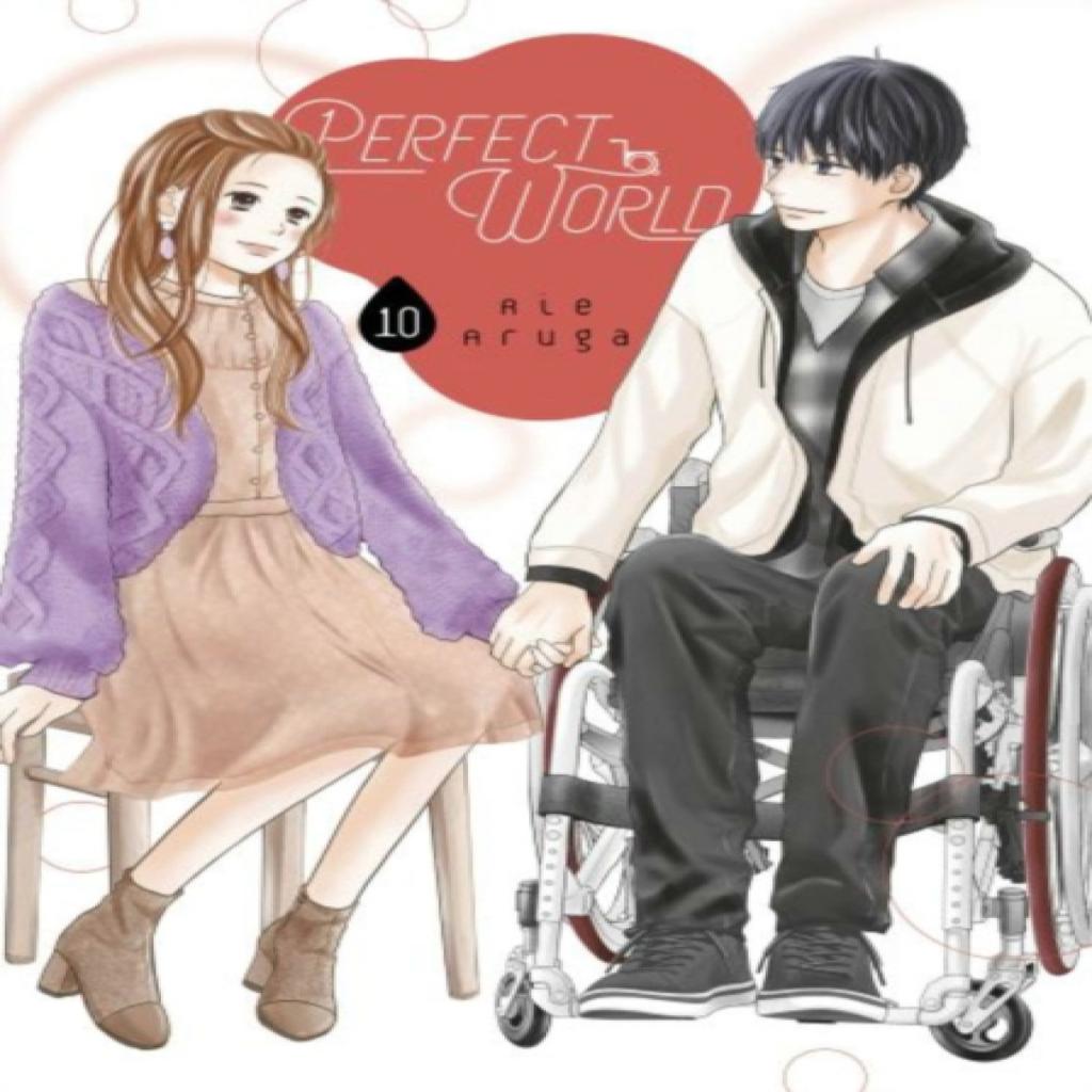 Perfect World 10 by Rie Aruga Paperback Book 9781646511334