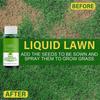 Nutritiousfor Grass Growingliquid, Spray lichid pentru întinerire Soluții de pulverizare lichidă pentru micronutrienți pentru iarbă 5 bucăți 60 ml