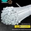 Shanze Self-Locking Nylon Cable Tie for Desktop, Gardening, and Wire Management