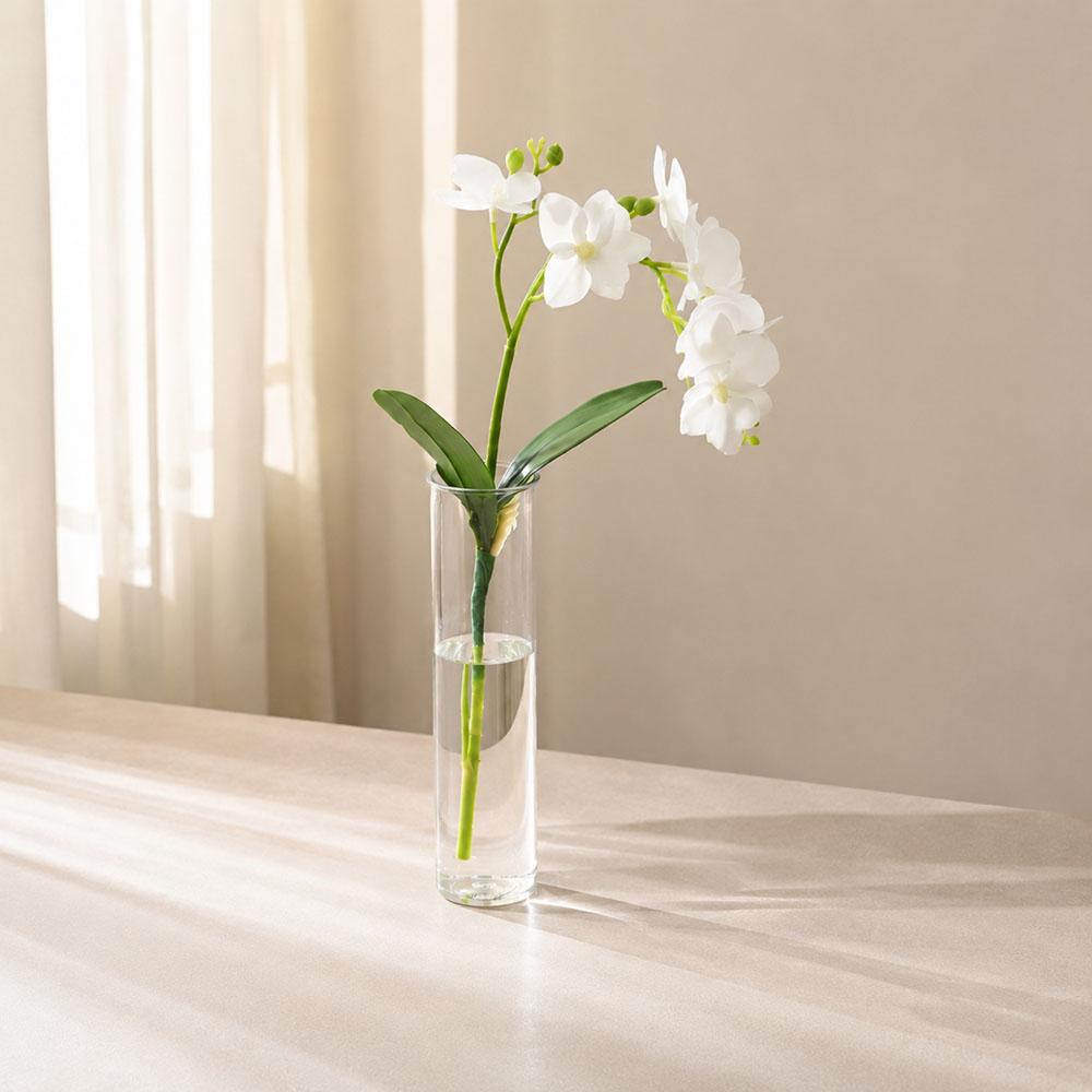 6/12PCS plastic cylindrical vases, high transparency vase set, suitable for simple desktop flower arrangement decoration