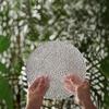 LISM Large Transparent Glass Fruit & Snack Plate Set