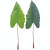 Artificial Caladium Leaves for Wedding, Home Decor, Landscaping, and Photography Props