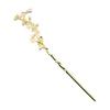 [Miaomyao] Kanzashi Hairpin, Single Stick Hair Accessory for Kimono, Yukata, Pearls, Antique White Plum Blossom, Gold Hair Accessory. A Single-stick