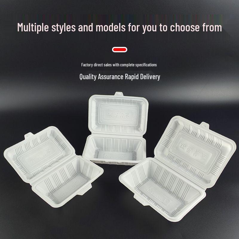 Thickened Large Capacity Disposable Plastic Lunch Box for Commercial Takeaway