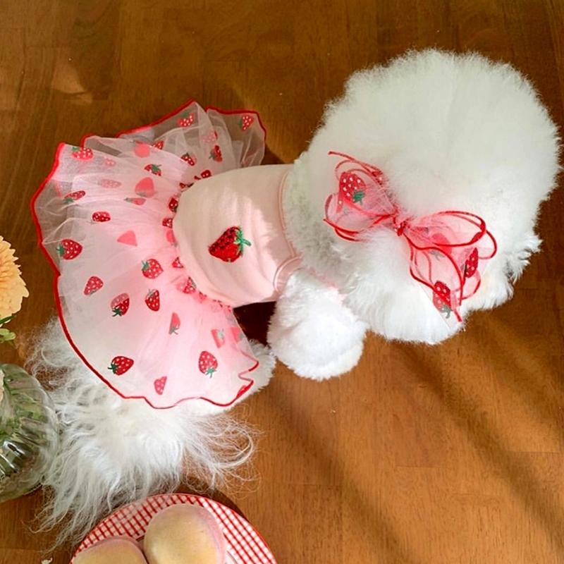 

Summer Dog Dress Luxury Dog Strawberry Skirt Lace Dog Princess Dress Chihuahua Bichon Korean Dog Clothes 2025 New Puppy Costume XS