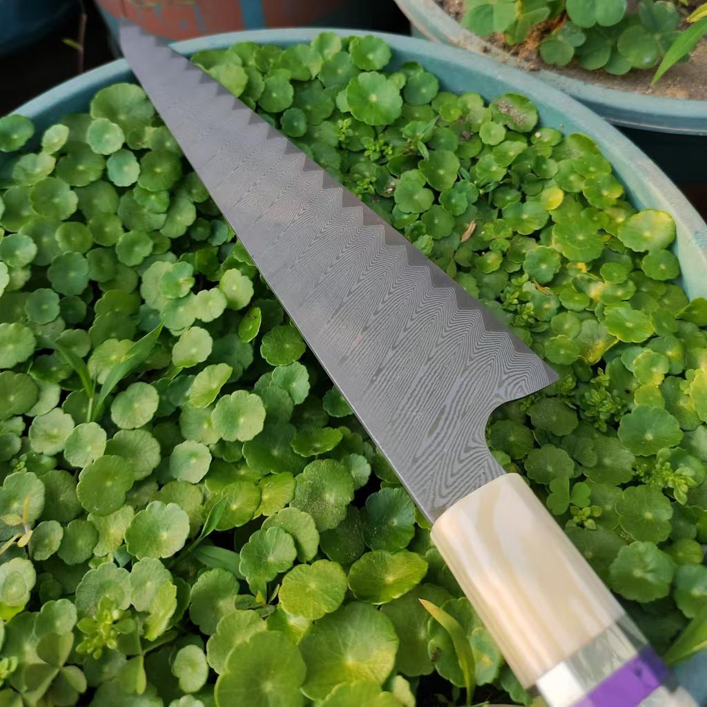 8 Zoll Kochmesser 67-Lagen Damaszener VG10 Stahlklinge Scharfes Hackmesser Fleischschneiden Gemüse Japanische Küchenmesser Harzholz