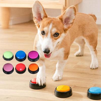 Köpek – Eğitim ve Öğretim Araçları
