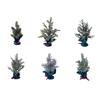 Small Christmas Tree Accent for Desk Table Counter Display with Fabric Base and Ribbon Trim, Artificial Tree for Home Office