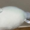 Momora Mora Plush Toy Assorted Ver. Final Fantasy XIV Taito Lim...