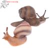 (YOUU06)Symulacyjny model zwierzęcia owada Mini zwierzęcy cykl wzrostu ślimaka Ornament
