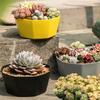 1PC Succulent Plant Flowerpot Large Caliber Flowerpot
