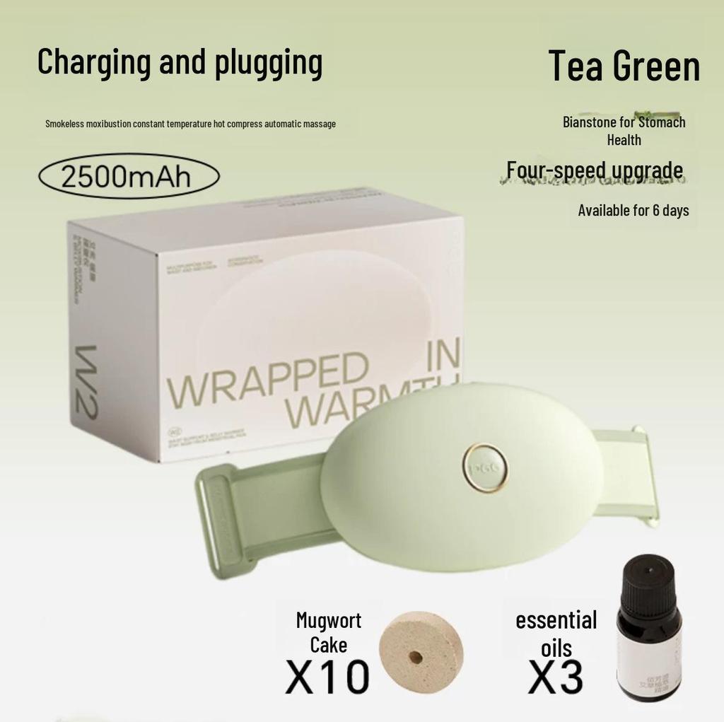 PGG W2 Waist Massage: Red Light, Hot Compress, Bianstone Kneading, 2500 mAh Warm Abdomen Moxibustion.