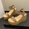 Korean Version of Sandals Female Summer Fairy Style High Heel Wedge Heel Muffin Thick Sole Word with Roman Shoes Female