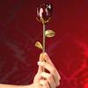 Beautiful crystal rose with vase symbol of love gift for wife girlfriend for birthday wedding anniversary Valentine's Day with decorative case