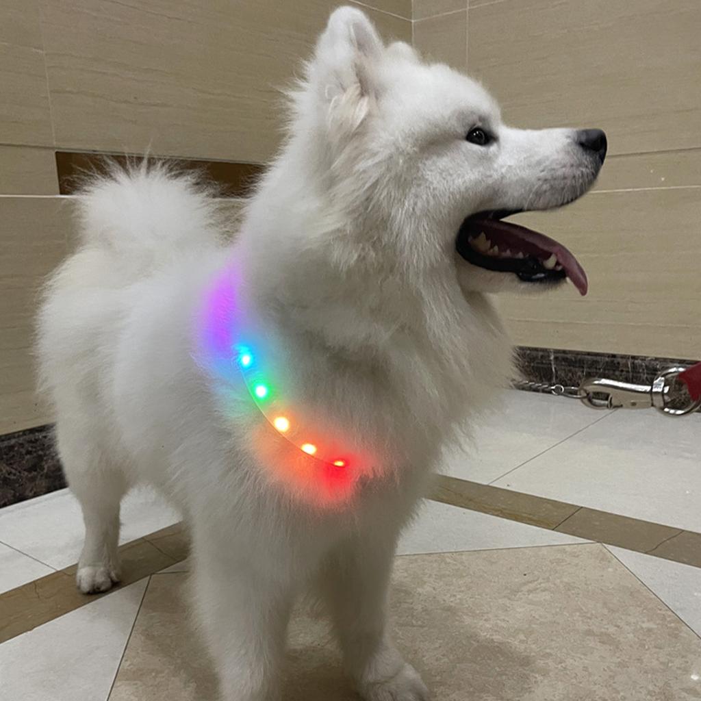 LED Hundehalsband Verstellbar USB Wiederaufladbar Erhöhte Sicherheit Leuchtet im Dunkeln Haustierhalsband für Groß