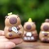 Trendy Capybara Plush Toy Blind Box - Creative Round Doll & Car Decoration