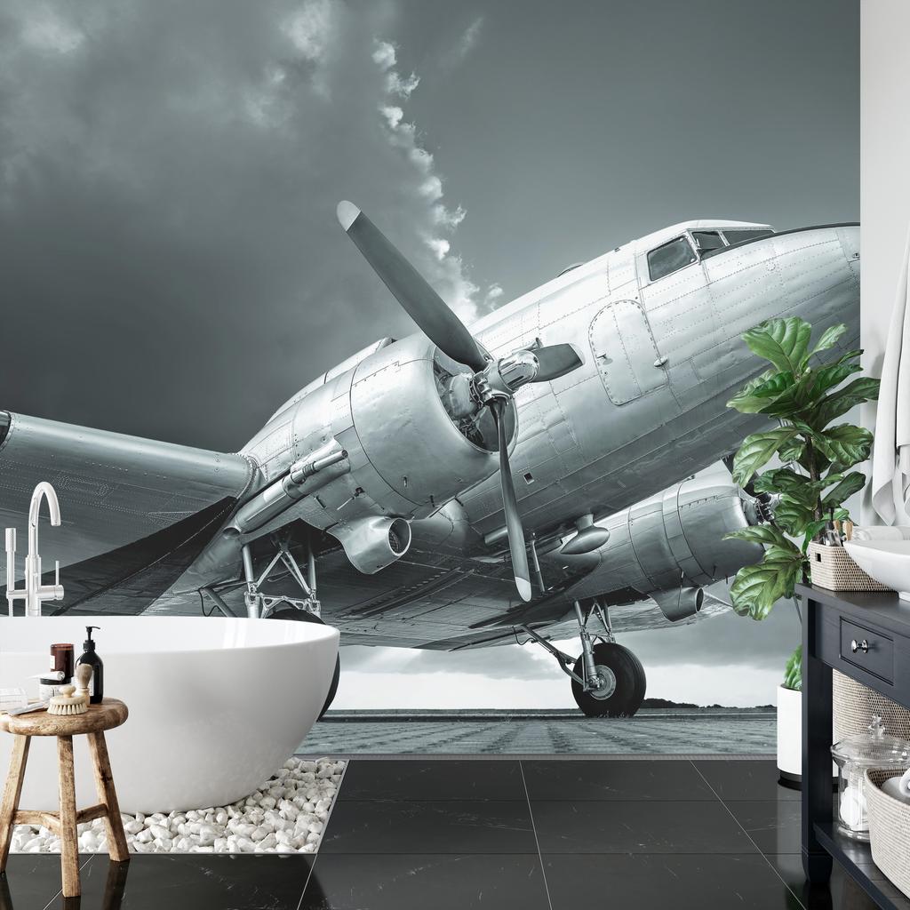 Photomural Propeller Airplane Self-Adhesive Mural 90x60