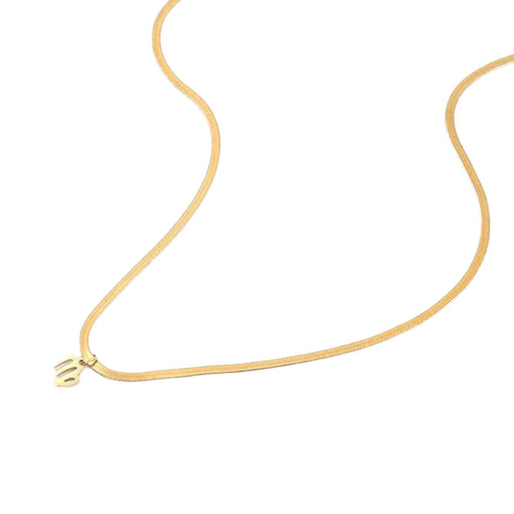 18K Gold-Plated Fashionable 304 Stainless Steel Zodiac Necklace with Flat Snake Chain, Colorfast.