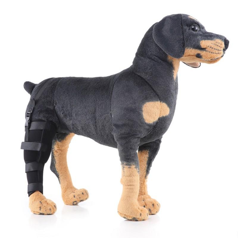 Hunde-Hinterbein-Stützbandage zur Genesung nach Operationen und zum Schutz vor Verletzungen für mittlere bis große Rassen