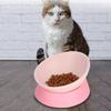 Slanted Mouth Elevated Feeder Anti-Tip Anti-Slip Dish Lightweight Neck Care Bowl  Indoor Use