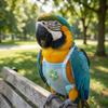 With Leash Pet Parrot Diaper Snap-Closure Parrot Flying Clothing  for Cockatiel Pigeons