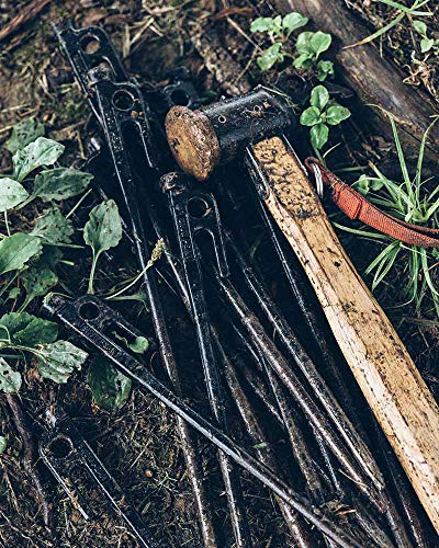 Snow Peak 30cm Solid Stakes R-103 Forged Pegs for Tents, Tarps, and Outdoor Camping (Pack of 10)