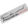 Decalque Decorador Sobrancelha Farol Dianteiro de Carro 3D Capô do Motor Design Esportivo Para Jaguar XF XJ XE S-Type F-Type X-Type F-Pace I-Pace E-Pace XFR XKR